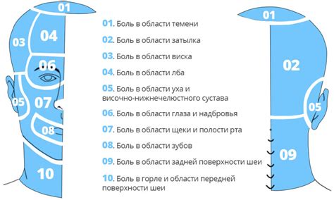 Карта боли в области головы и шеи - Реабилитолог Остеопат Максим ...