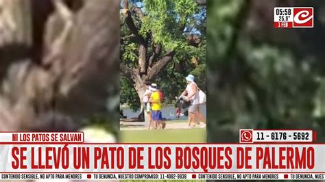 La Filmaron Cuando Se Robaba Un Pato De Los Lagos De Palermo YouTube