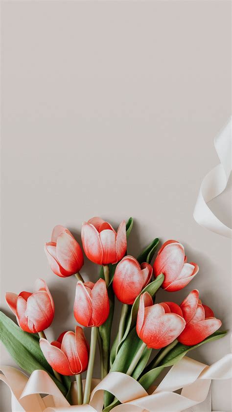 Aesthetic pink iPhone wallpaper, romantic | Premium Photo - rawpixel