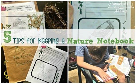 5 Tips For Keeping A Nature Notebook For Kids Simple Living Mama