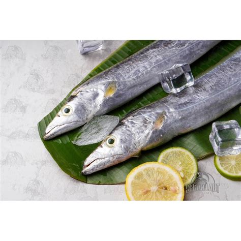 Jual IKAN LAYUR FRESH FROZEN SEGAR Shopee Indonesia