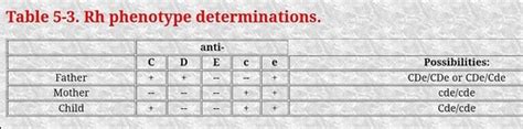 ☑️ Rh Phenotype Determination Flashcards | Quizlet