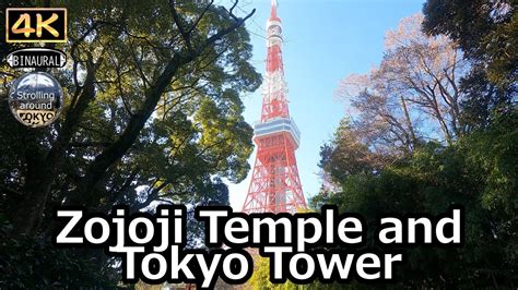 Zojoji Temple And Tokyo Tower 4K Tokyo Japan Alo Japan