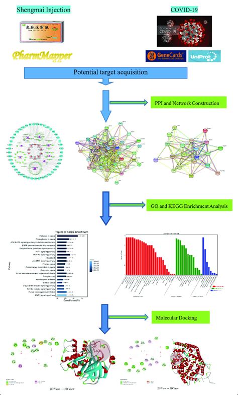 Flow Chart Of Network Pharmacology Analysis Download Scientific Diagram