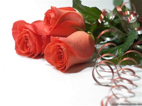 Roses Wedding Wallpapers Top Free Roses Wedding Backgrounds