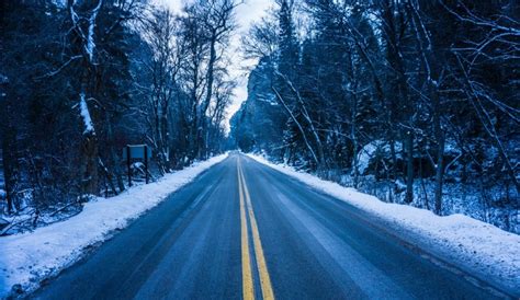 Sunlight Trees Forest Nature Snow Winter Road Ice