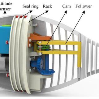 The structural model of the proposed robotic fish. | Download ...