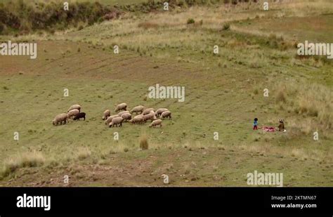 Andes indigenous peru Stock Videos & Footage - HD and 4K Video Clips ...