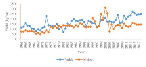 Maize And Paddy Yield 1961 2018 Download Scientific Diagram