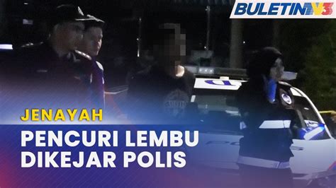 Jenayah Pencuri Lembu Cuba Larikan Diri Rempuh Kereta Polis Youtube