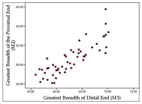 Figure E17 Sex Analysis Scatter Plot For The Metatarsal Using