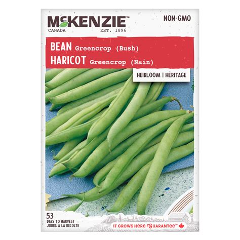 Purchase Greencrop Bush Bean Vegetable Seed Online Mckenzie Seeds