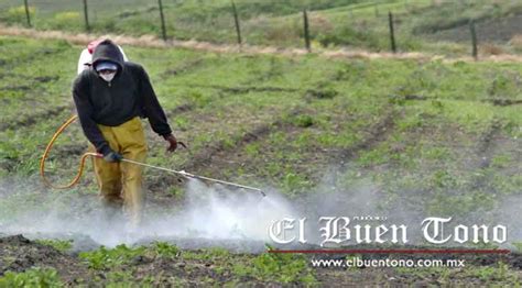 Multan Con Mil Pesos A Distribuidora De Fertilizantes El Buen Tono