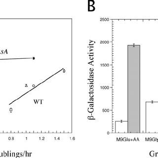 Effect Of DksA On Growth Phase Dependent Regulation Of P Fis A