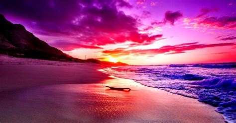 Purple Summer Beach Sunset | Amazing Wallpapers