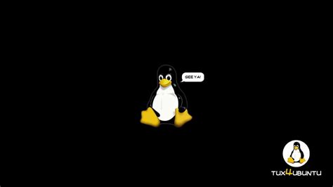 Operating System With A Penguin Mascot The Companys Official Mascot