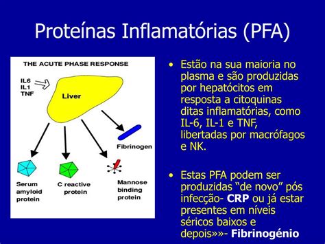 Ppt Prote Nas De Fase Aguda Sistema De Complemento Powerpoint