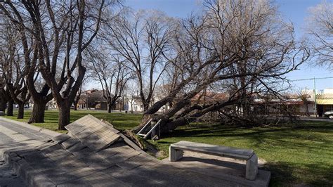 Lo Que El Viento Dej En La Ciudad Voladura De Techos Rboles Ca Dos