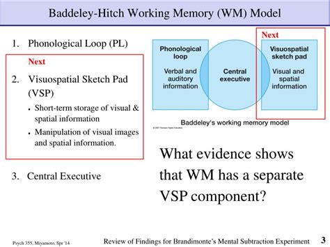 PPT - Visuospatial Sketchpad (VSP ) & The Central Executive PowerPoint Presentation - ID:1850426