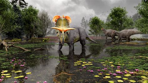 Neuer Dino entdeckt: US-Paläontologen schreiben Stammbaum der gehörnten ...