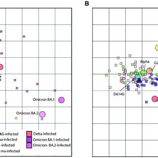 Antigenic cartography reveals antigenic diversification of SARS-CoV-2... | Download Scientific ...