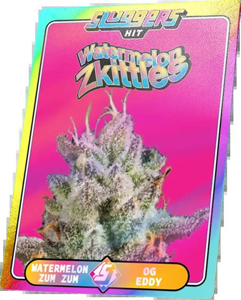 Watermelon Zkittlez Sluggers Hit Premium Cannabis Products Accessories