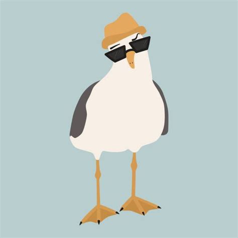 24 300 Seagull Stock Illustrations Royalty Free Vector Graphics