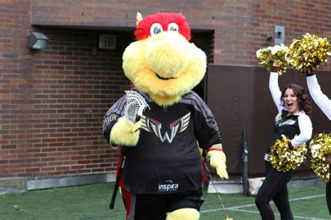 Meet Wingston — But What Exactly Is The Philadelphia Wings New Mascot