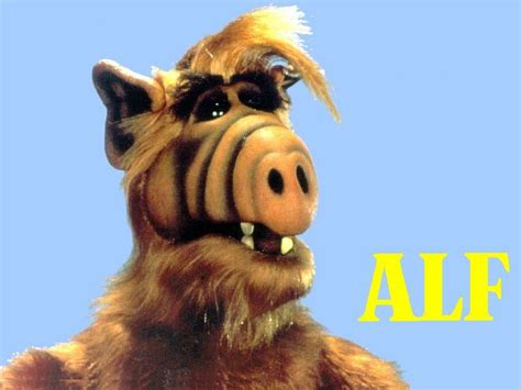 Alf Wallpaper Wallpapersafari