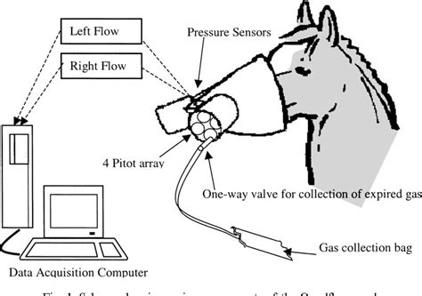 Figure 1 From Reliability Of Cardiorespiratory Measurements With A New