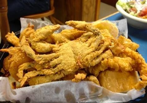 What Is A Softshell Crab Maryland Seafood