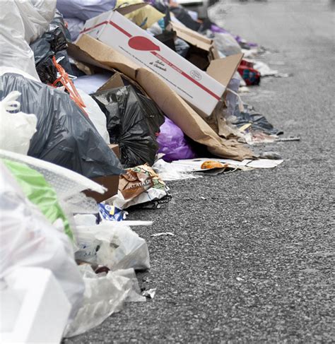 Siedlungsabfall Entsorgen Berlin Containerfritze