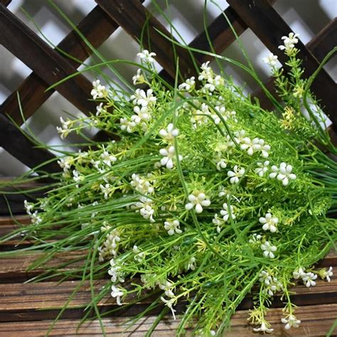 Descubra 48 Kuva Bouquet Petite Fleur Blanche Thptnganamst Edu Vn