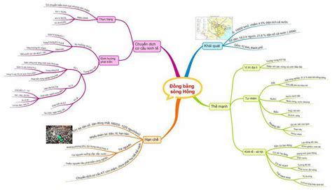 Sơ đồ Tư Duy 7 Vùng Kinh Tế Chi Tiết Nhất TopLoigiai