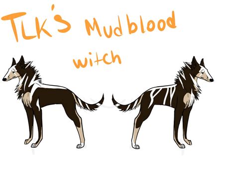 Tlks Mudblood Witch By Texaslonestarkennels On Deviantart