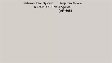 Natural Color System S Y R Vs Benjamin Moore Angelica Af