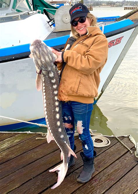 Guided Sturgeon Fishing Trips And Charters In San Francisco Ca At Flash