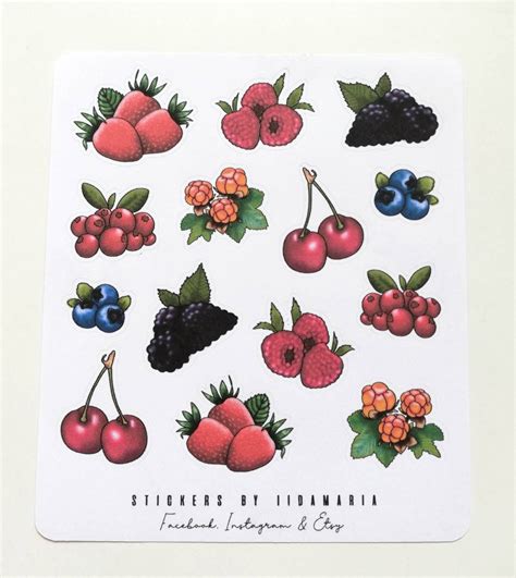 Beeren Sticker Erdbeere Himbeere Brombeere Kirsche Blaubeere Etsy