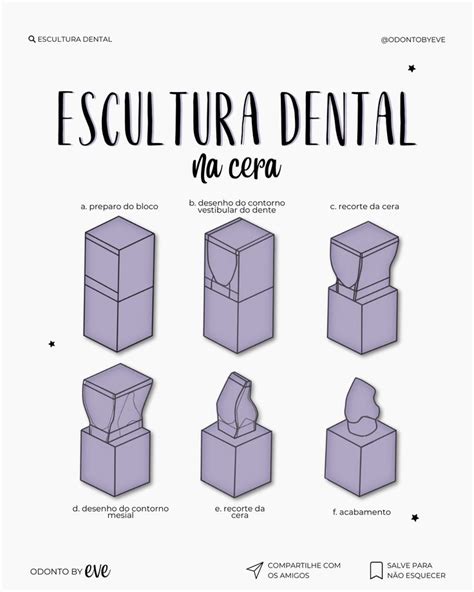 Escultura Dental Na Cera Anatomia Dental Dental Odontologia