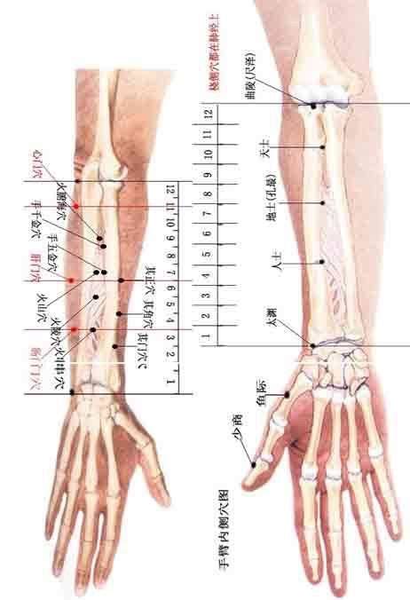 Acupuncture Points For Urinary Incontinence Overactive Bladder Artofit