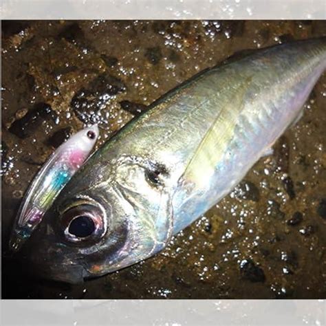 DUELデュエル HARDCOREハードコア カーボナイロンライン 2Lbs HARDCORE アジメバル CN 150m 2LbS イエロー H3444 Riina shop