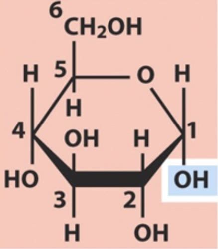 Molecules Sc 3 Flashcards Quizlet