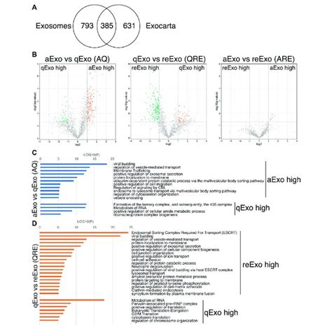 Exosome Proteomes And Gene Ontology Go A Venn Diagram Of