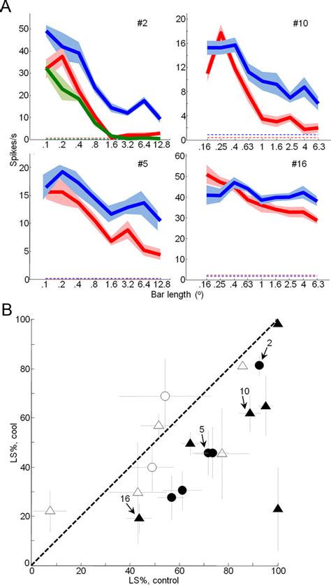 Effects Of Feedback Inactivation On V1 Length Suppression A Download Scientific Diagram