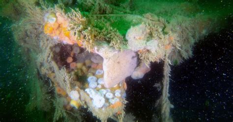 WWII shipwreck is leaking pollutants, altering its environment