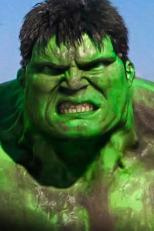 Hulk (Hulk 2003) | Movie and TV Wiki | Fandom