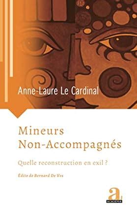 Amazon Fr Mineurs Non Accompagn S Quelle Reconstruction En Exil