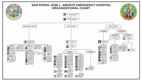 Hospital Nursing Organizational Chart