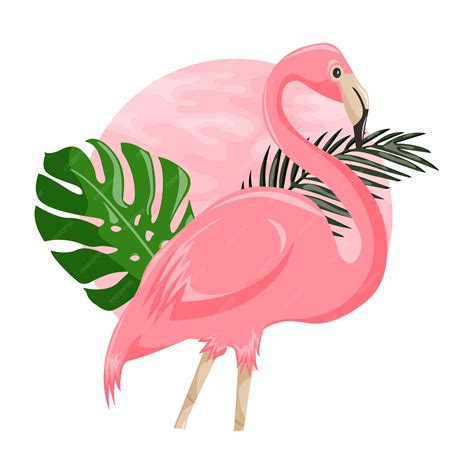 Premium Vector Flamingo Vector Illustration Pink Flamingo