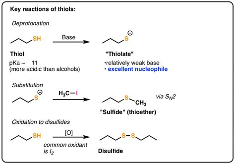 Thiol Functional Group